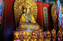 Half Day Tour To Lama Temple and Confucius Temple in Beijing