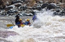 Half-Day Salt River Raft Trip