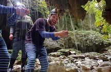 Waitomo - Eco Adventure Glowworm Cave Tour - Off the Beaten Track
