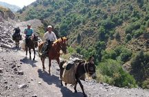 3-Day Chimgan Trekking Tour