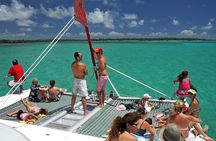 Ile Aux Cerfs Tour