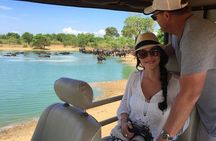 Udawalawe National park with Elephant Transit Home From Colombo