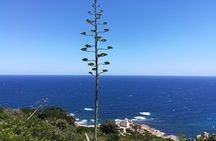 Biderosa and Capo Comino Beach Tour