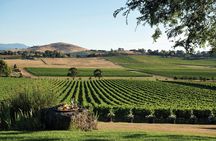 Melbourne Shore Excursion, Aussie Wildlife, Lunch, Wine & Sights