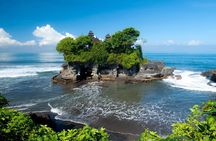 Private Car Charter - Explore Best of Bali