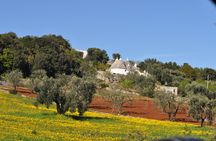 Day Tour of Bari, Alberobello, Matera