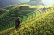 Sapa Trekking 3 Days 2 Nights by Bus - Homestay & Hotel