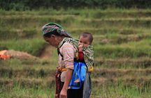 Sapa Trekking 3 Days 2 Nights by Bus - Homestay & Hotel