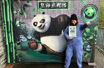 Visiting Dujiangyan Yaan Wolong Panda Base Optional Volunteering