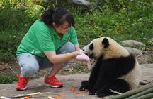 Visiting Dujiangyan Yaan Wolong Panda Base Optional Volunteering