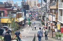Experience Old local Tokyo & traditional food in Yanaka Ginza