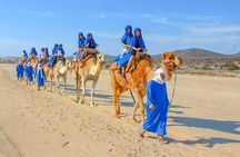 From Agadir or Taghazout or Port 2 Hours Camel Ride