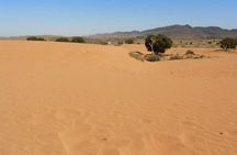 From Agadir or Port Trip to Small Sahara of Massa and Tiznit with Lunch