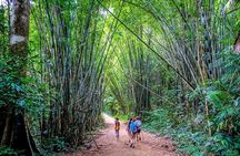 1 Day Khao Sok Jungle Safari and 2 Days Cheow Lan Lake Explorer from Krabi