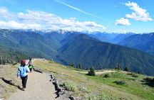 Sol Duc, Lake Crescent, and Hurricane Ridge Guided Tour in Olympic National Park