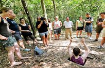 Cu Chi Tunnels Half Day Luxury Tours