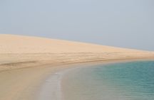 Doha: Safari, Dune bashing, Camel Ride, Sandboarding & Inland Sea