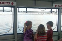 Dolphin and Wildlife Adventure of St. Augustine