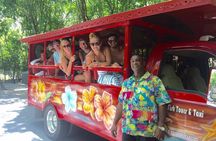 Book Your Private Two and a Half Hour Island Tour today!