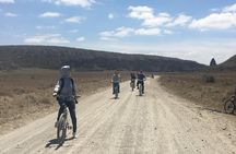 1 Day Hells Gate Biking Safari