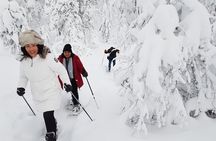 Snowshoeing in Pyha-Luosto Lapland