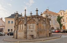 Kutná Hora & Bone Church (with admissions)