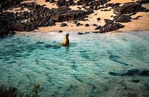 6-day Galapagos on a Budget Experience