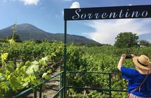 WINE TOUR&TASTING Lacryma Christi Vesuvio 