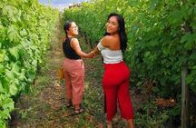 WINE TOUR&TASTING Lacryma Christi Vesuvio 