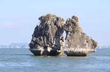 Halong Bay Cruise Day Trip: Titop island, Surprise cave, Swimming, Kayaking
