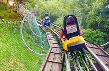 Full Day Private Tour To Da Lat From Nha Trang