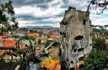 Full Day Private Tour To Da Lat From Nha Trang