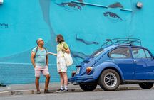 Off the Beaten Track in Cape Town: Private City Tour