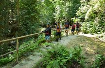 Kawasan Falls and Mantayupan Falls in One Day from Cebu