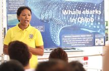 Whale Shark Swimming Experience and Aguinid Falls from Cebu