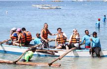 Whale Shark Swimming Experience and Aguinid Falls from Cebu