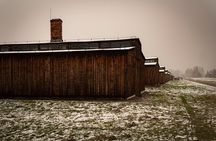 Auschwitz-Birkenau and Wieliczka Salt Mine Day Tour from Krakow with private car