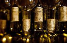 Cousino Macul and Concha y Toro Wineries Day Trip from Santiago