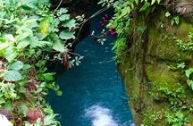 The Ultimate Rush: Moalboal Sardine Run and Kawasan Canyoneering