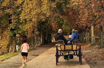 One-hour tour through the historic center and half Renaissance walls