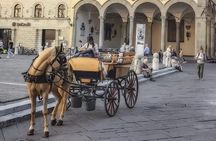 One-hour tour through the historic center and half Renaissance walls