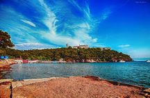 Daily Princes' Island Tour in Istanbul