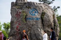 Luoyang Private Tour to Longmen Grottoes and Peony Blossom Sightseeing