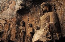 Luoyang Private Tour to Longmen Grottoes and Peony Blossom Sightseeing
