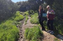 Private Walking Tour- 3000 years of History around the Acropolis Rock 