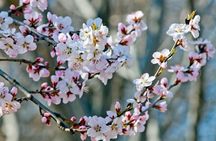 Private Customized Beijing Garden Tour