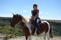 Half-Day Horseback Riding Adventure