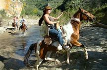 Half-Day Horseback Riding Adventure