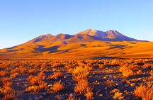 Altiplanic Lagoons & Piedras Rojas Tour from San Pedro de Atacama