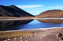 Altiplanic Lagoons & Piedras Rojas Tour from San Pedro de Atacama